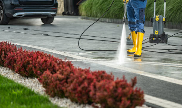 Professional Pressure Washing Services in New Cassel, NY